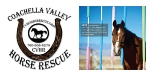 Coachella Horse Rescue